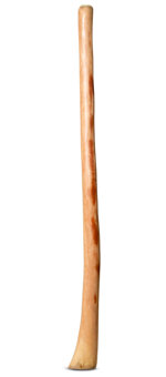 Natural Finish Bell Didgeridoo (TW1014)